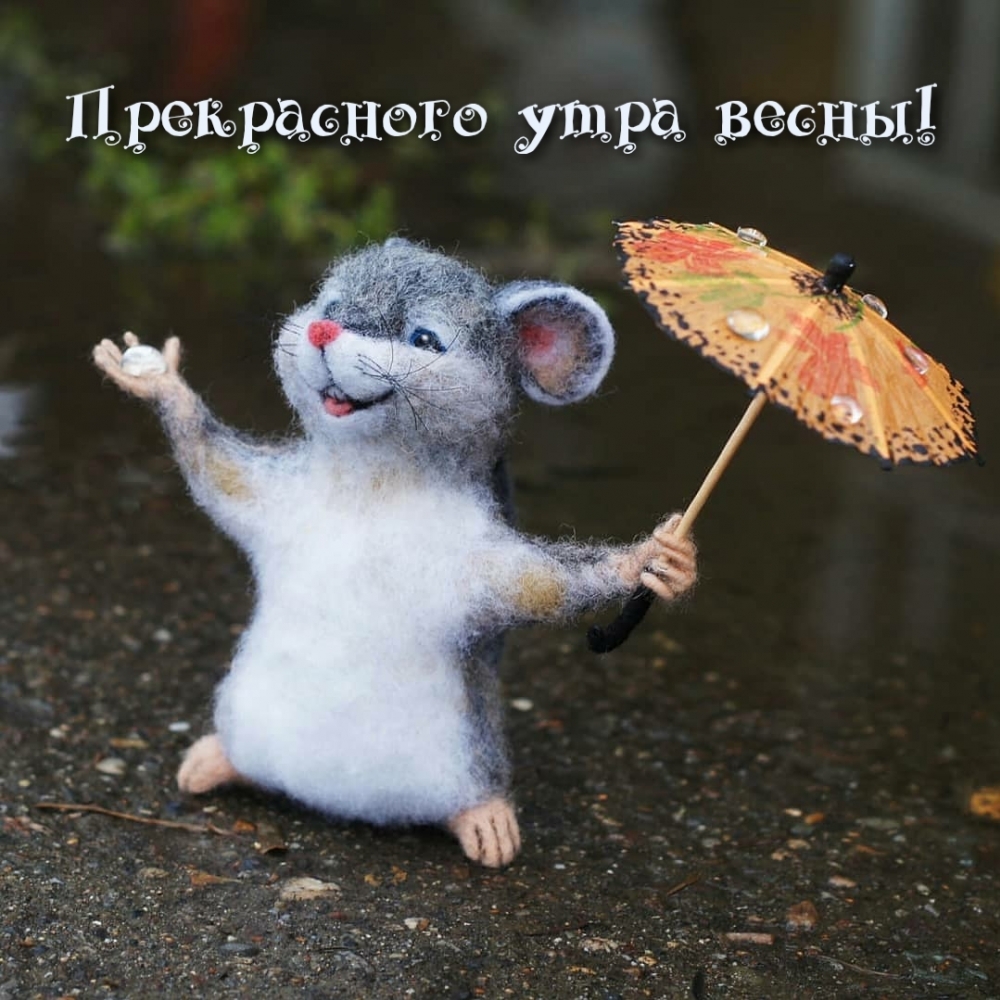  Поздравления с добрым весенним утром
