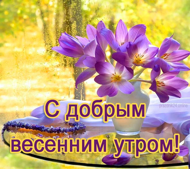 Красивые бесплатные картинки с добрым весенним утром на телефон!