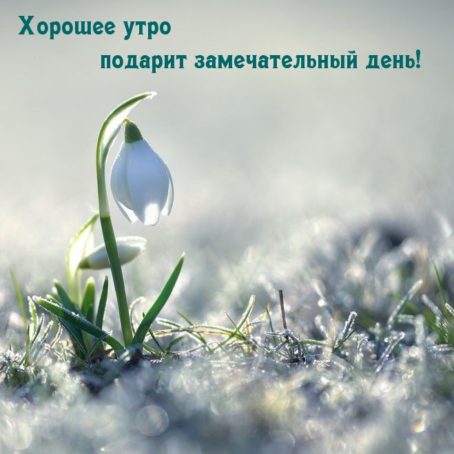 Пожелания с добрым весенним утром и хорошего дня!