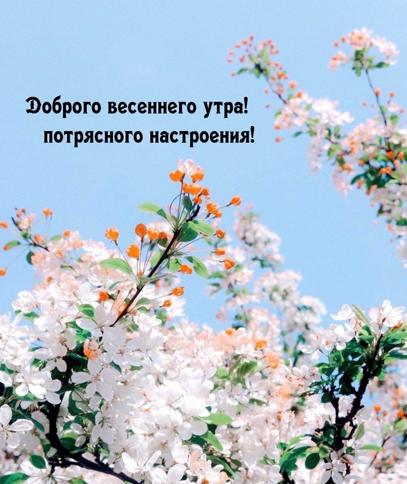 Доброе чудесное утро