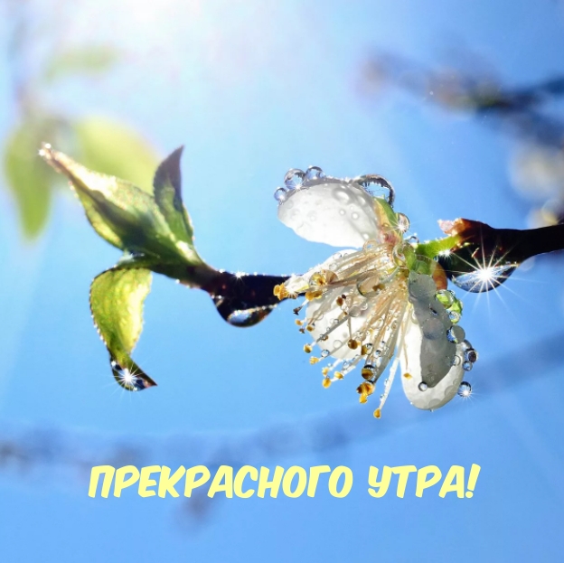  Весеннего настроения и душевного тепла