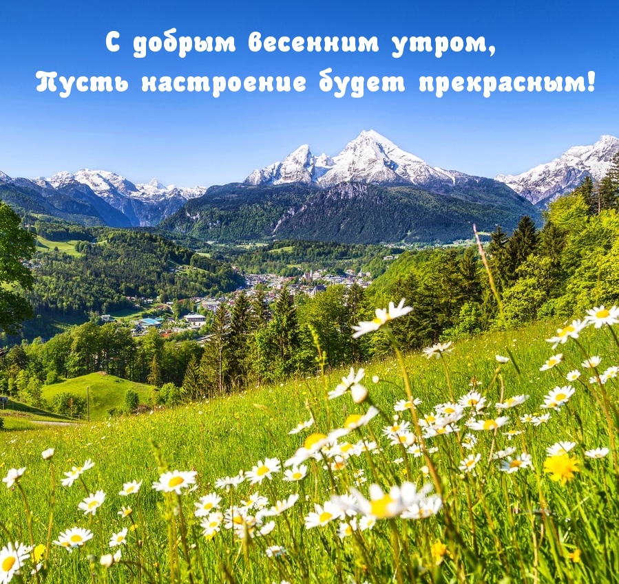 С добрым весенним утром