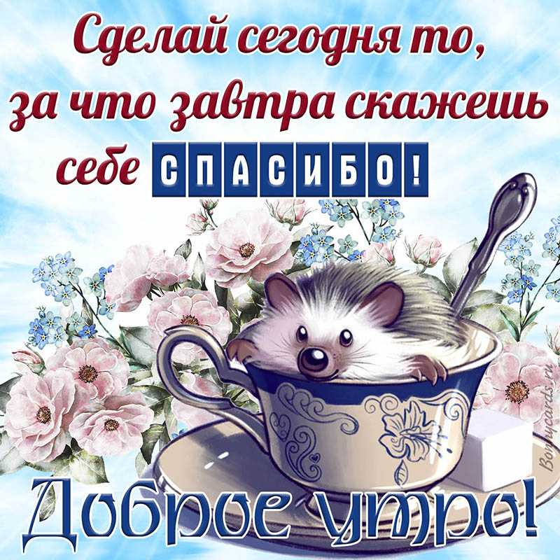 Милая картинка с ёжиком желающим тебе доброго утра. Милая картинка с ёжиком желающим тебе доброго утра.