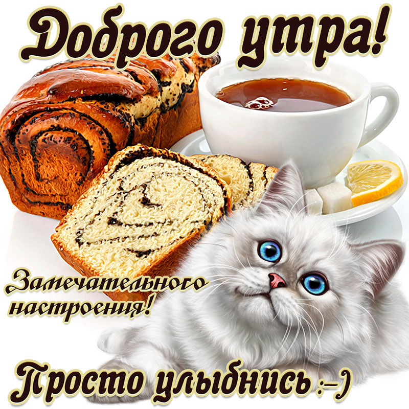 Открытка с милым котиком желающим доброго утра. Открытка с милым котиком желающим доброго утра.