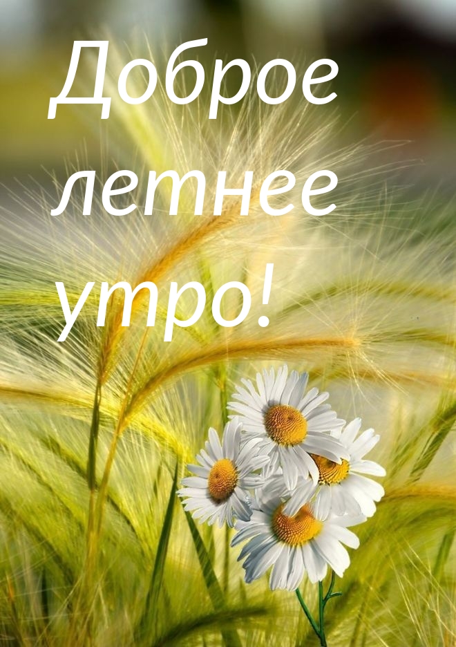 Доброго летнего утра и хорошего дня Доброго летнего утра и хорошего дня