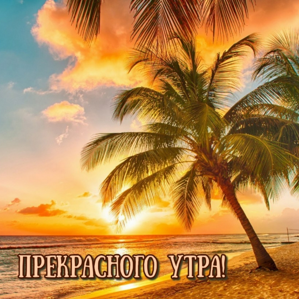 Открытки и картинки с пожеланиями. С добрым летним утром! Открытки и картинки с пожеланиями. С добрым летним утром!