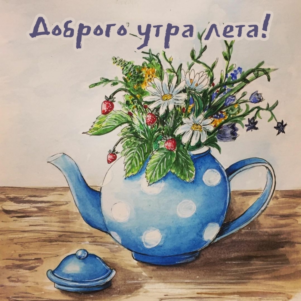 Доброго летнего утра и хорошего дня, Красивые поздравления с добрым утром природа. Доброго летнего утра и хорошего дня, Красивые поздравления с добрым утром природа.
