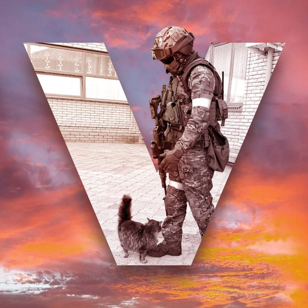 Картинка сила V правде!
