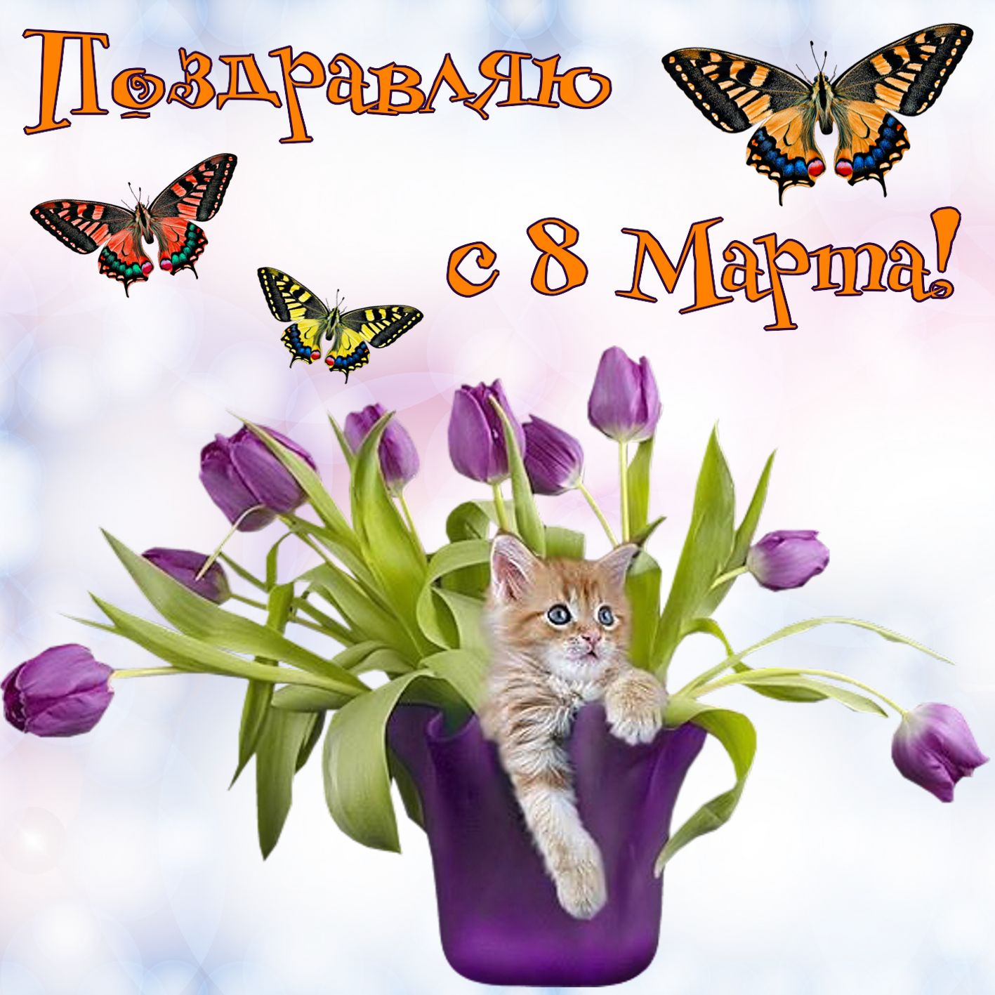 Хостинг картинок yapx.ru