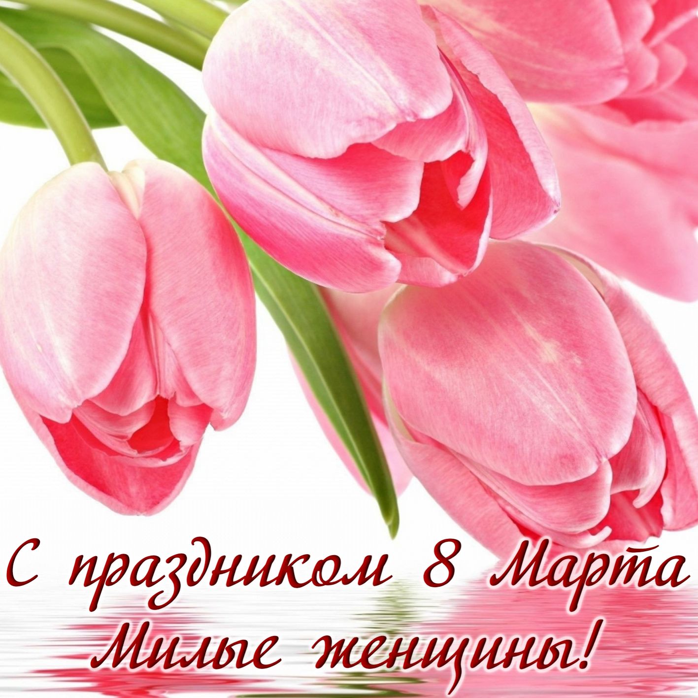 Хостинг картинок yapx.ru