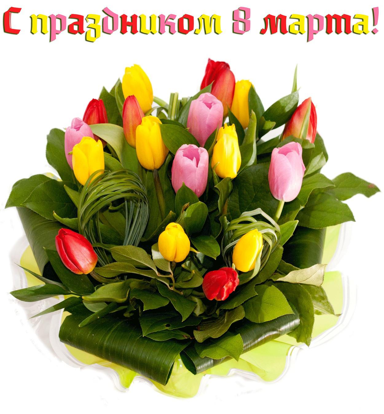Хостинг картинок yapx.ru