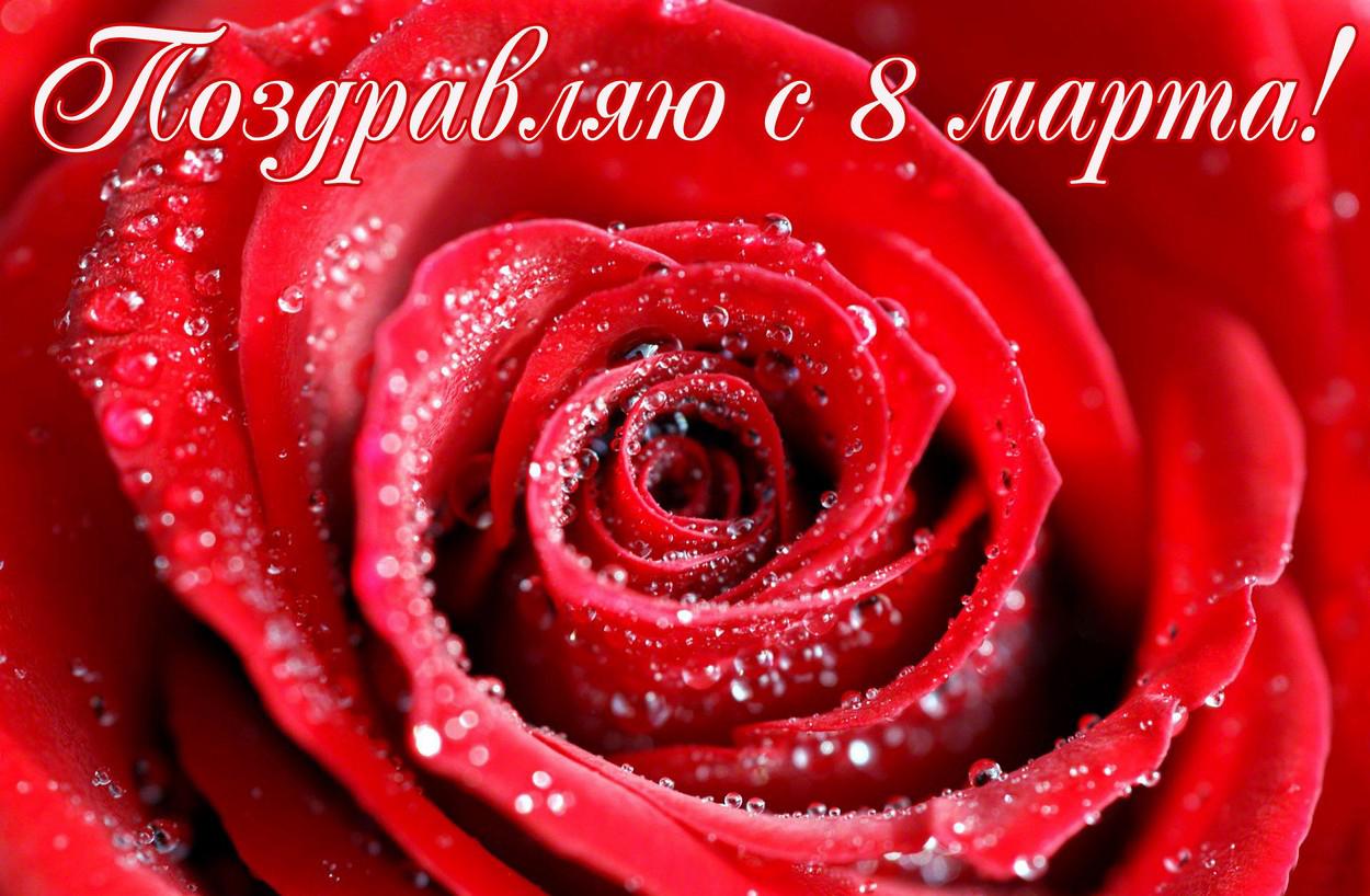 Хостинг картинок yapx.ru