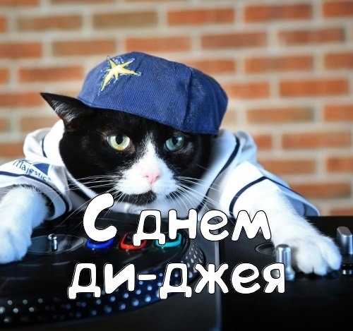 Хостинг картинок yapx.ru