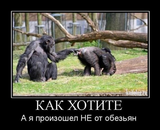 Хостинг картинок yapx.ru