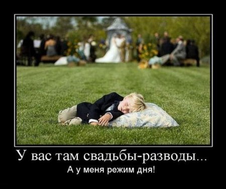Хостинг картинок yapx.ru
