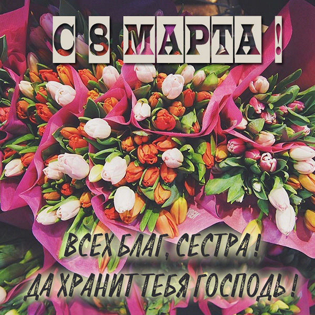 Хостинг картинок yapx.ru