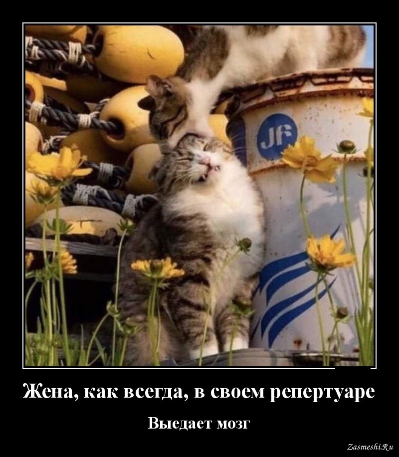 Хостинг картинок yapx.ru
