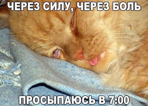 Хостинг картинок yapx.ru