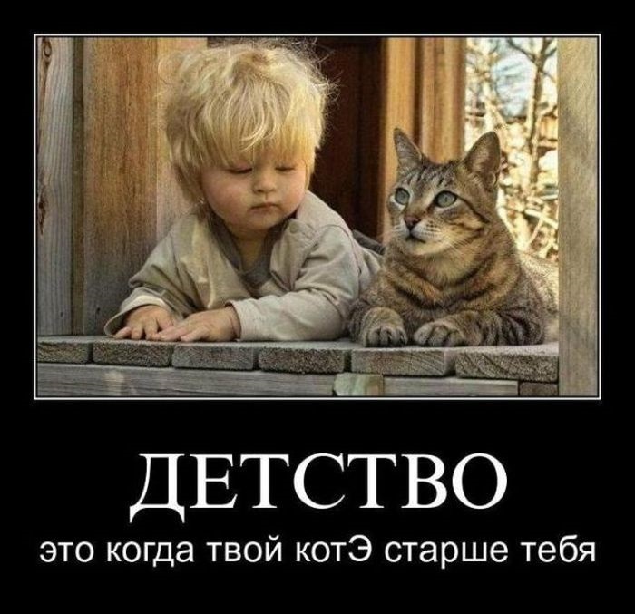 Хостинг картинок yapx.ru