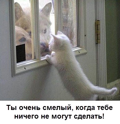 Хостинг картинок yapx.ru