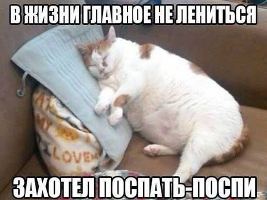 Хостинг картинок yapx.ru