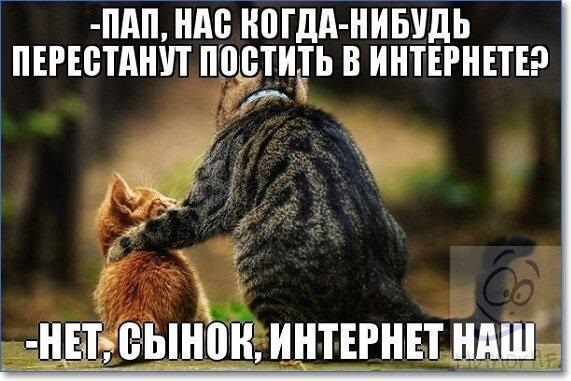 Хостинг картинок yapx.ru