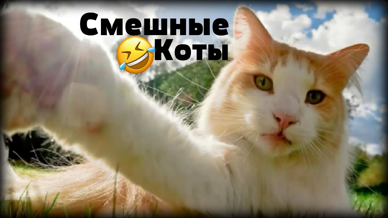 Хостинг картинок yapx.ru