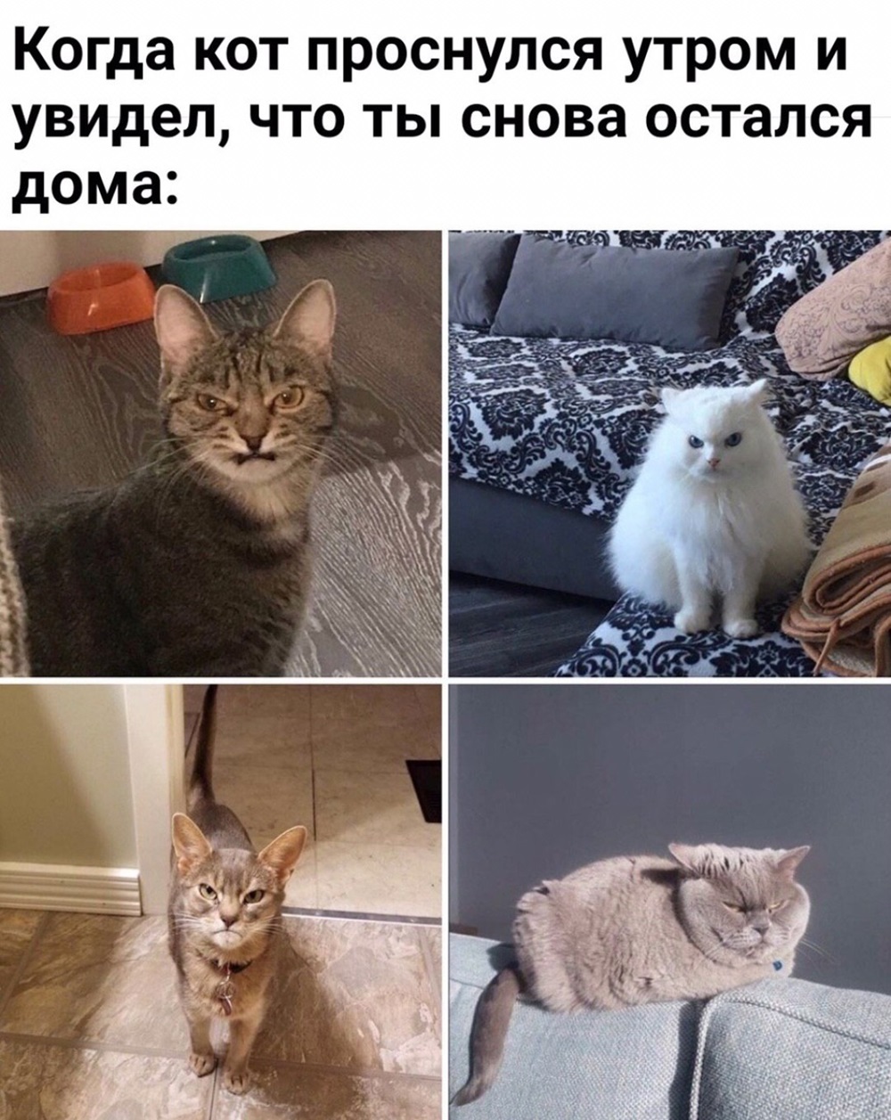 Хостинг картинок yapx.ru