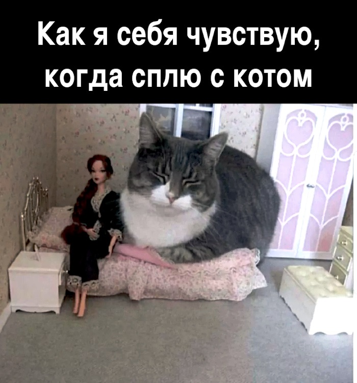 Хостинг картинок yapx.ru