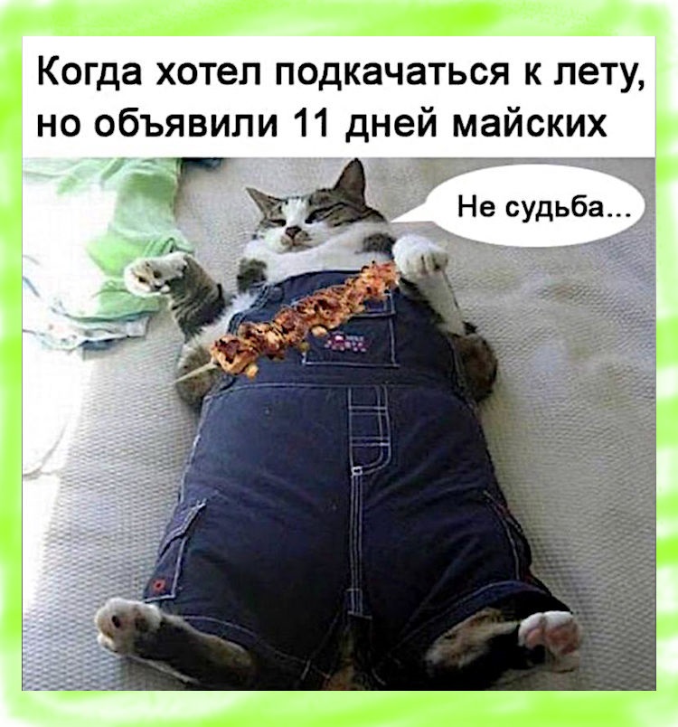 Хостинг картинок yapx.ru