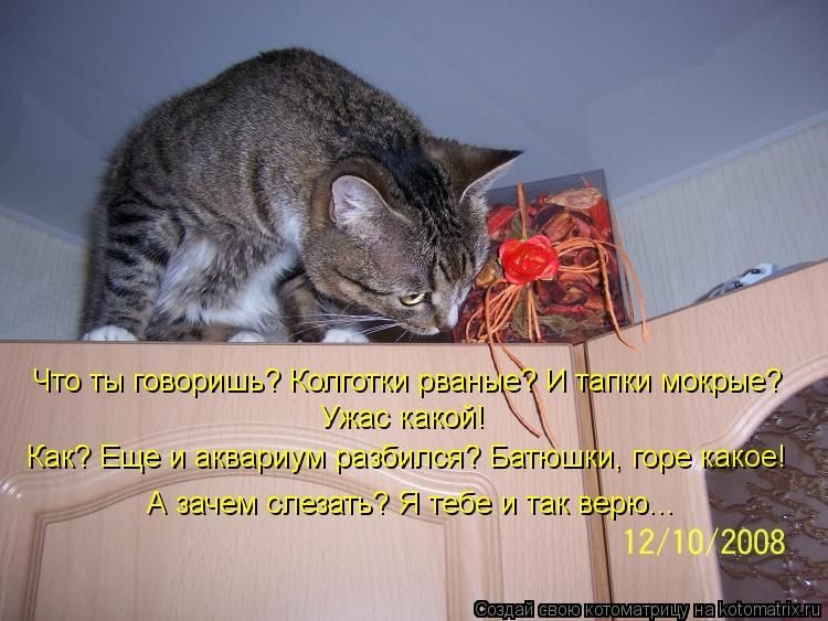 Хостинг картинок yapx.ru