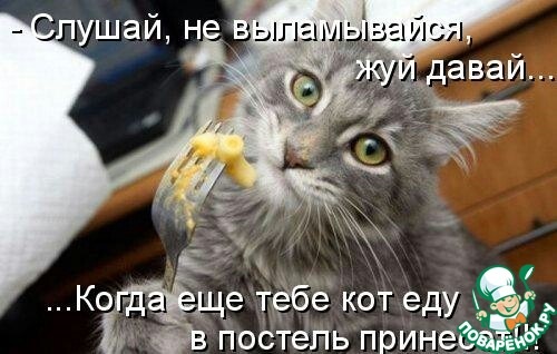 Хостинг картинок yapx.ru