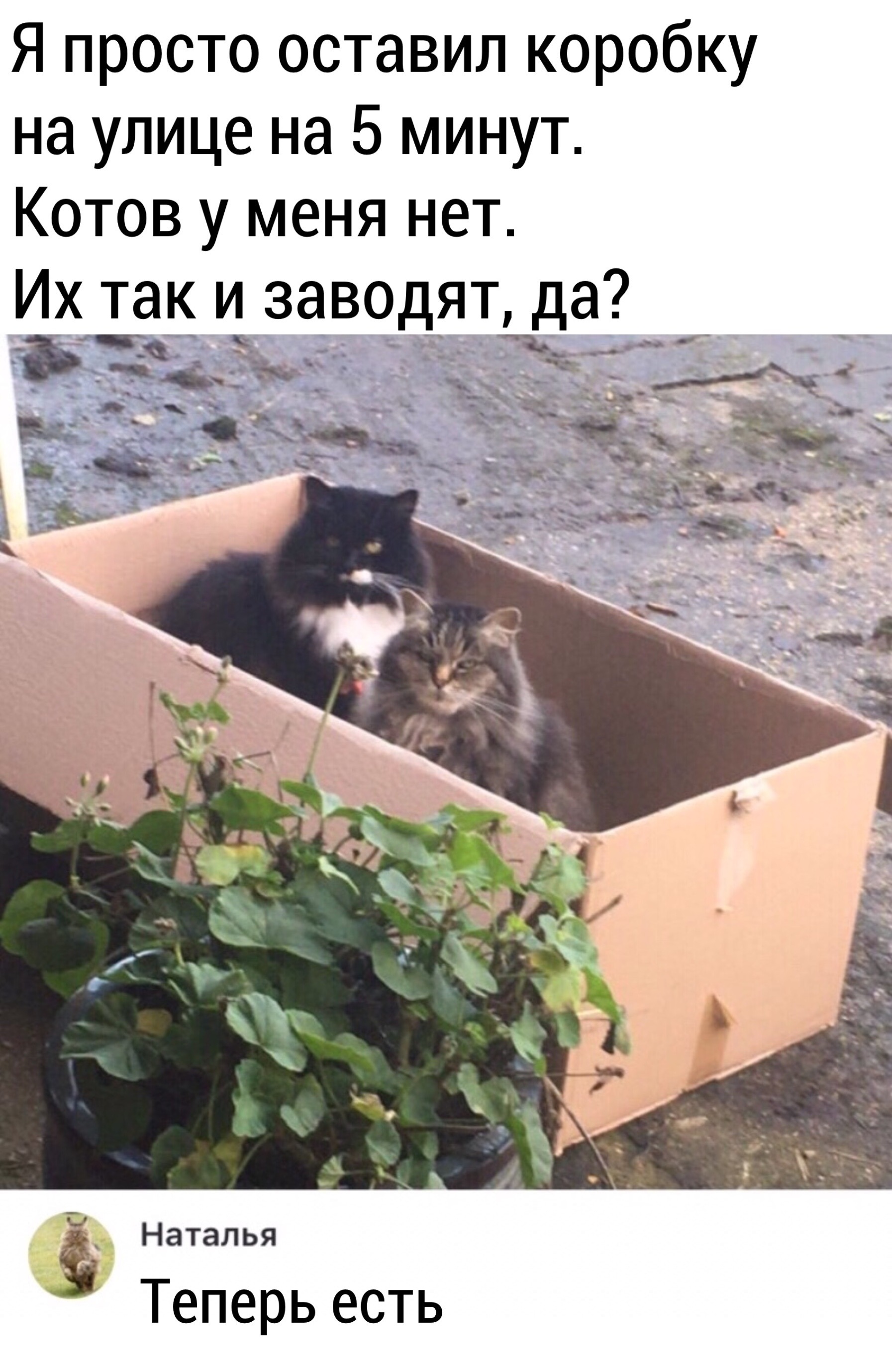 Хостинг картинок yapx.ru