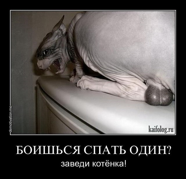Хостинг картинок yapx.ru