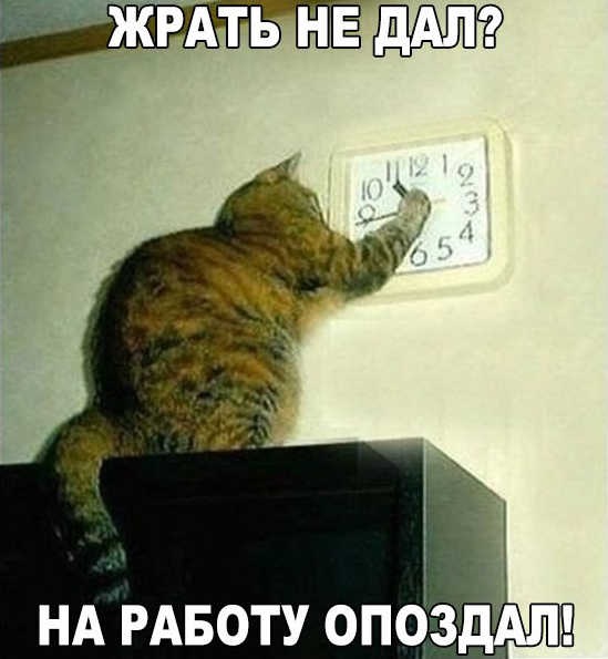 Хостинг картинок yapx.ru
