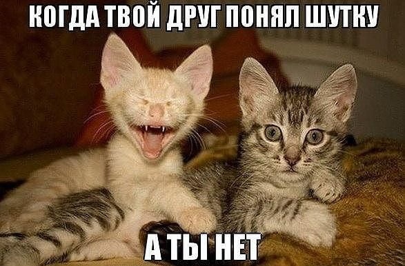 Хостинг картинок yapx.ru