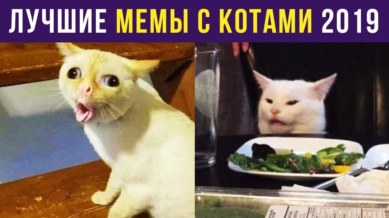 Хостинг картинок yapx.ru