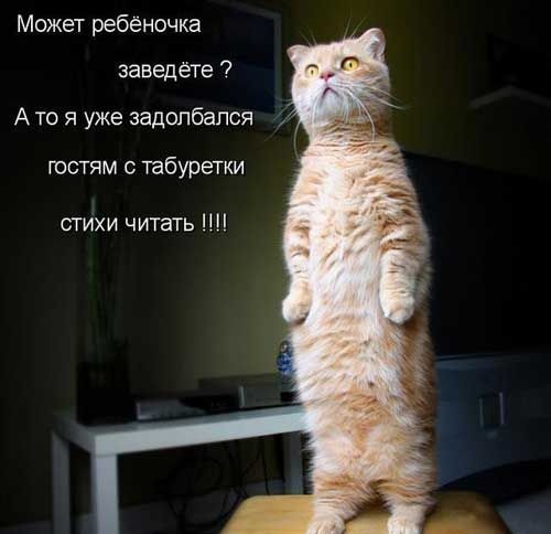 Хостинг картинок yapx.ru