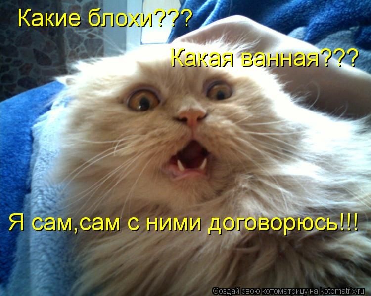 Хостинг картинок yapx.ru