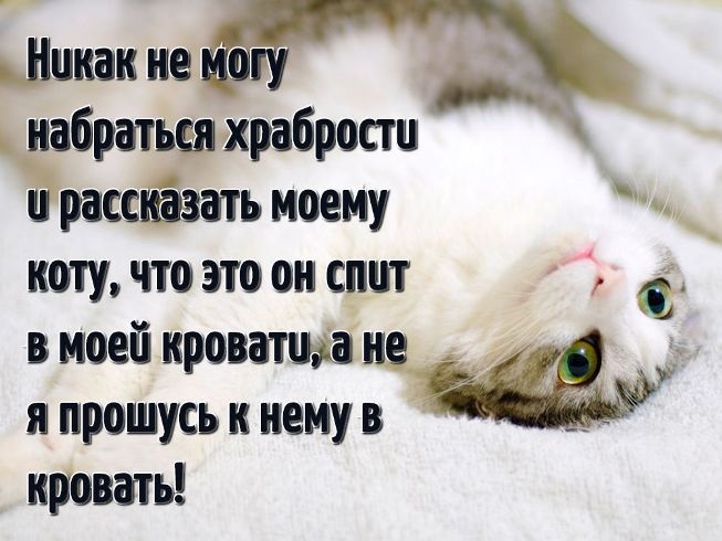 Хостинг картинок yapx.ru