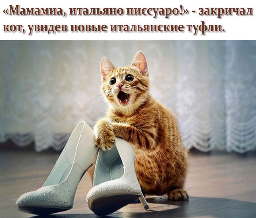 Хостинг картинок yapx.ru