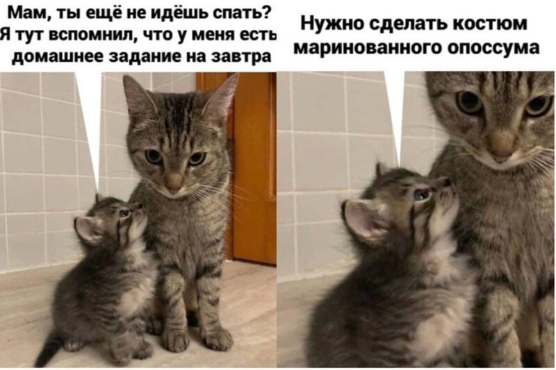 Хостинг картинок yapx.ru