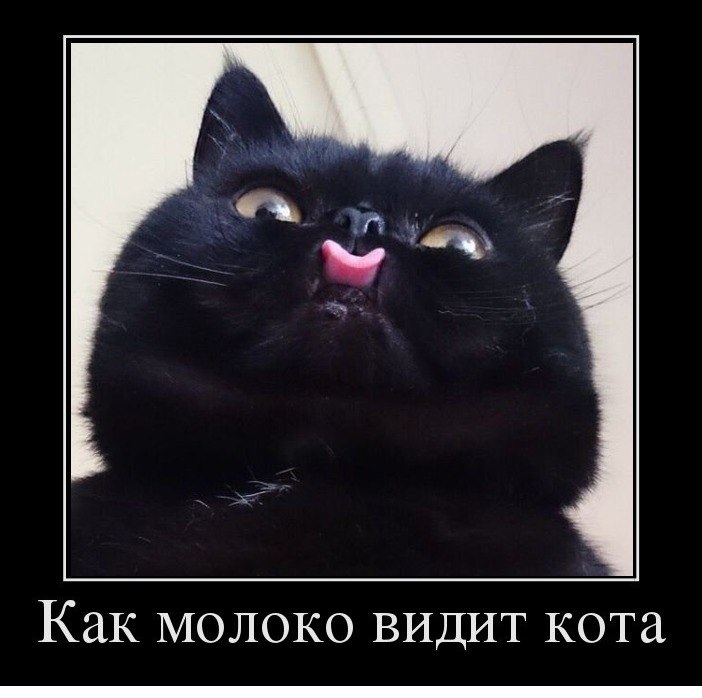 Хостинг картинок yapx.ru