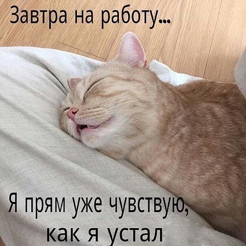 Хостинг картинок yapx.ru