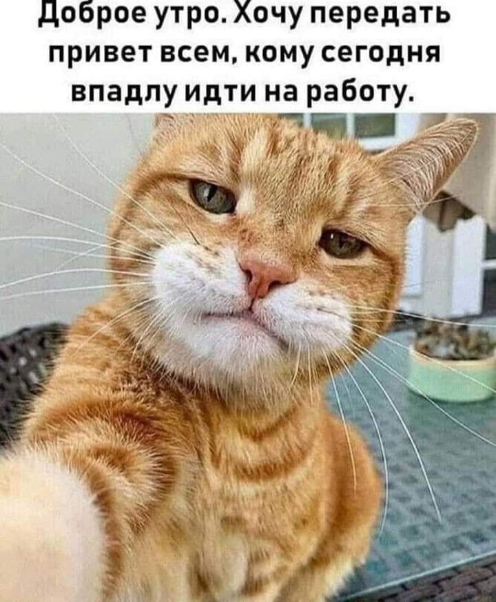 Хостинг картинок yapx.ru