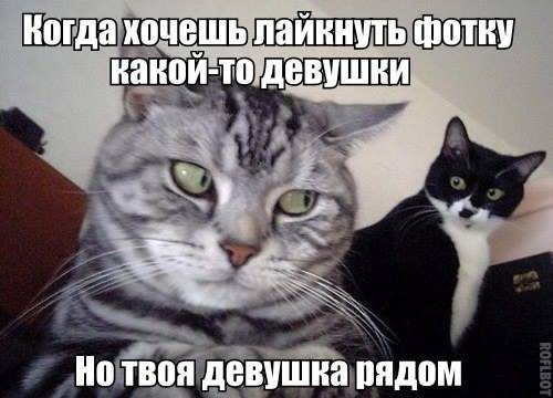 Хостинг картинок yapx.ru