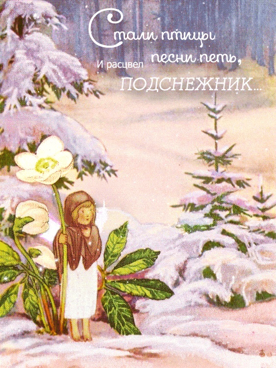 Хостинг картинок yapx.ru