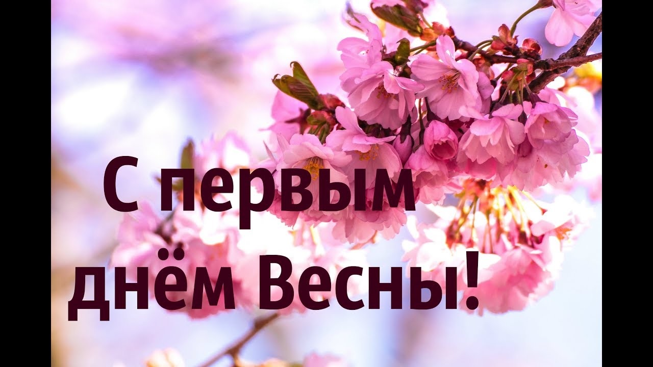 Хостинг картинок yapx.ru