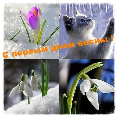 Хостинг картинок yapx.ru