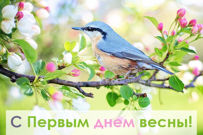 Хостинг картинок yapx.ru